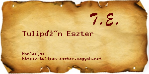 Tulipán Eszter névjegykártya